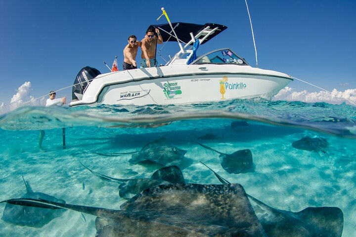 Stingray City 